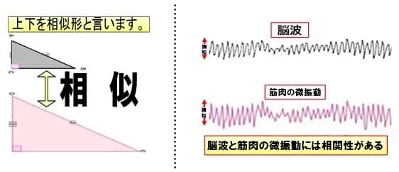 相似性