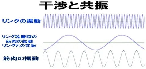 干渉と共振