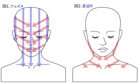 小顔ちゃんの塗布方向